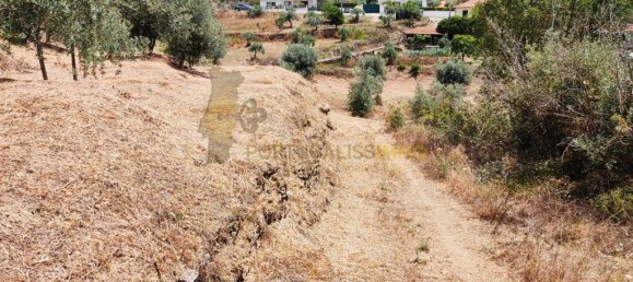 Grundstück in Tomar, Portugal 1740m², Nr. 309530 21