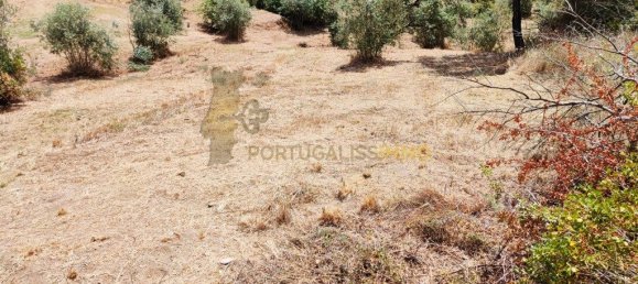 Grundstück in Tomar, Portugal 1740m², Nr. 309530 19