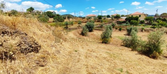 Grundstück in Tomar, Portugal 1740m², Nr. 309530 17