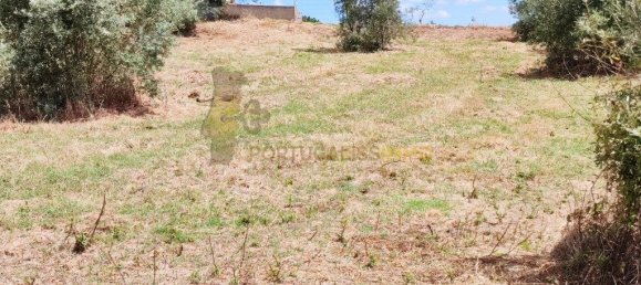 Grundstück in Tomar, Portugal 1740m², Nr. 309530 6