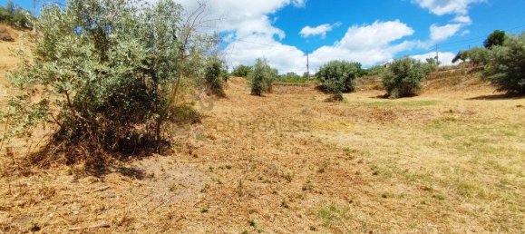 Grundstück in Tomar, Portugal 1740m², Nr. 309530 14