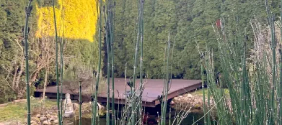 10غرفة منزل في Rhein-Hunsruck, Germany رقم 356420 3