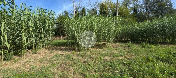 Terreno em Monterotondo, Italy 4910 m² N.º 353023 16