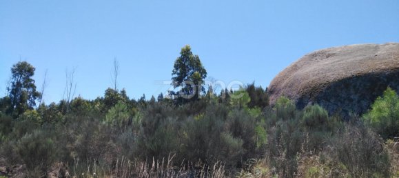  Land in Oliveira do Hospital, Portugal No. 89986 6