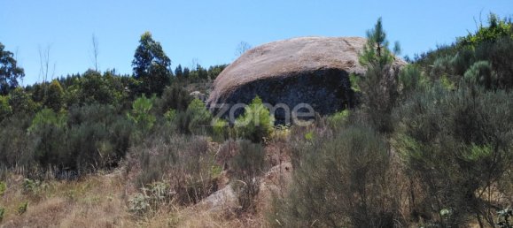  Land in Oliveira do Hospital, Portugal No. 89986 9