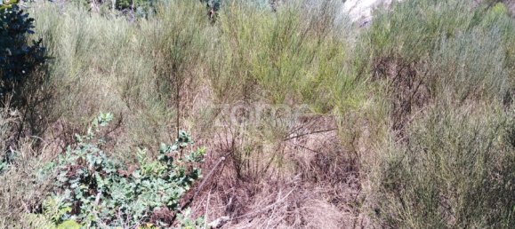  Land in Oliveira do Hospital, Portugal No. 89986 4