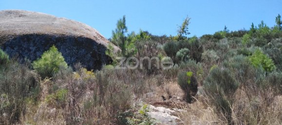  Land in Oliveira do Hospital, Portugal No. 89986 10