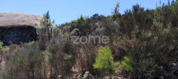  Land in Oliveira do Hospital, Portugal No. 89986 3