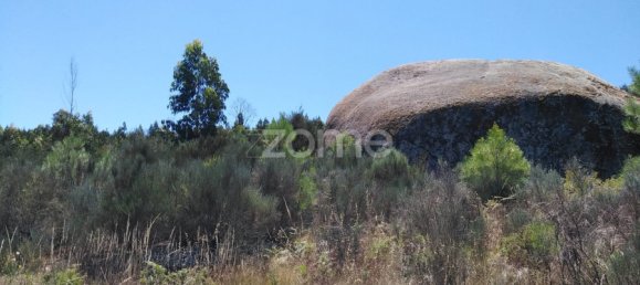  Land in Oliveira do Hospital, Portugal No. 89986 5