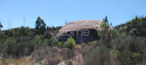  Land in Oliveira do Hospital, Portugal No. 89986 7