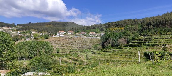 4 bedrooms House in Macieira de Cambra, Portugal No. 17143 9