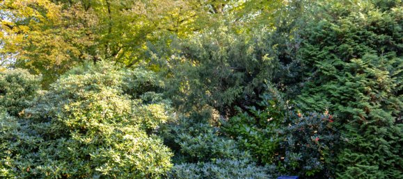 5 chambres Villa à Schleswig-Holstein, Germany No. 51430 14