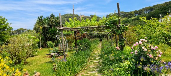 4 bedrooms Villa in Capri, Italy No. 270856 9