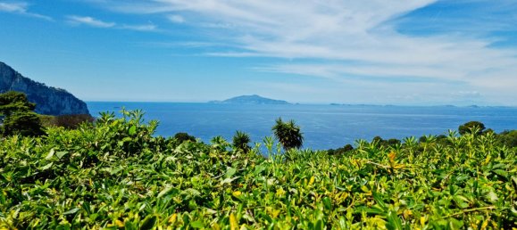 4 bedrooms Villa in Capri, Italy No. 270856 7