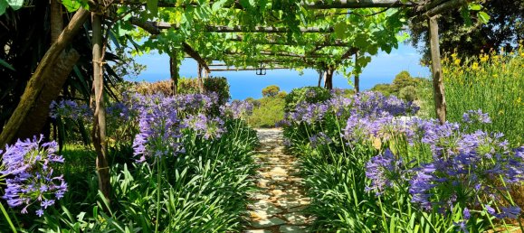 4 bedrooms Villa in Capri, Italy No. 270856 4