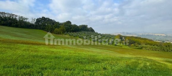 4 bedrooms House in Montottone, Italy No. 203843 18