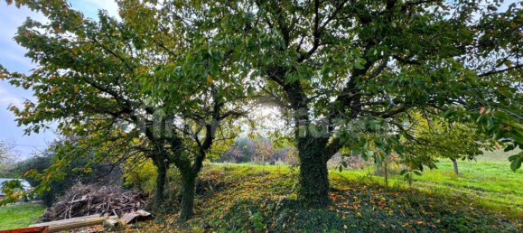 4 bedrooms House in Montottone, Italy No. 203843 21