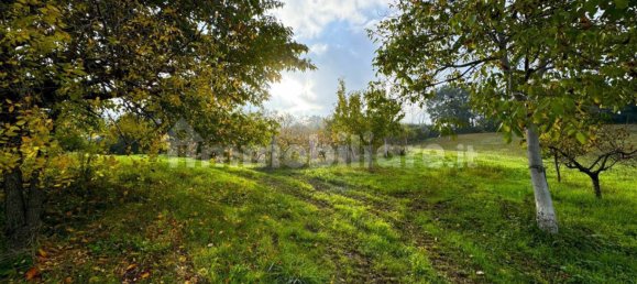 4 bedrooms House in Montottone, Italy No. 203843 29