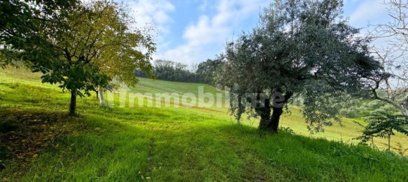 4 bedrooms House in Montottone, Italy No. 203843 19