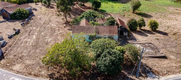 4 غرف نوم منزل في Liceia, Portugal رقم 30319 3