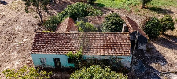 4 غرف نوم منزل في Liceia, Portugal رقم 30319 8