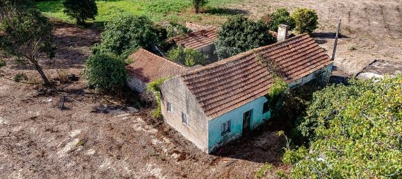 4 غرف نوم منزل في Liceia, Portugal رقم 30319 7