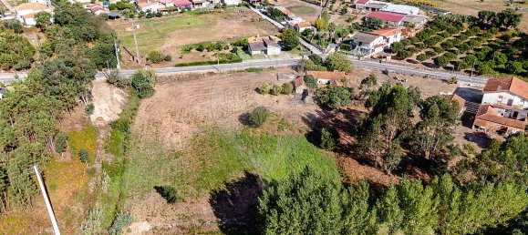 4 غرف نوم منزل في Liceia, Portugal رقم 30319 14