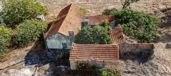 4 غرف نوم منزل في Liceia, Portugal رقم 30319 6