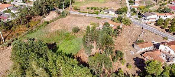 4 غرف نوم منزل في Liceia, Portugal رقم 30319 15