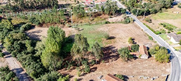 4 غرف نوم منزل في Liceia, Portugal رقم 30319 4