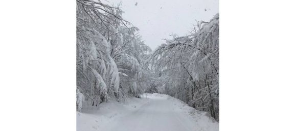 4 bedrooms House in Abetone Cutigliano, Italy No. 255092 3