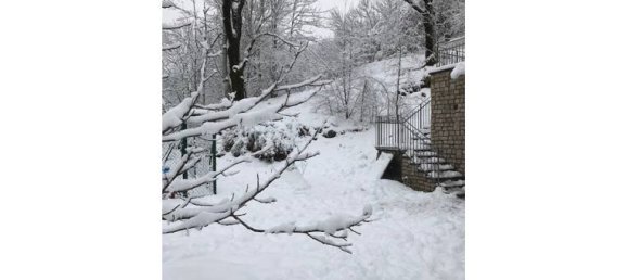 4 bedrooms House in Abetone Cutigliano, Italy No. 255092 4