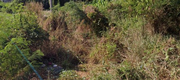  Commercial property in Pattaya, Thailand No. 258 5