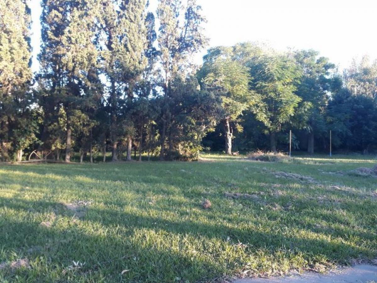 Terreno en Cañuelas, Argentina No. 37915