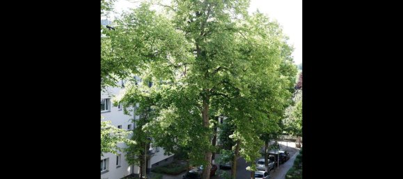 2-Zimmer Wohnung in Grunewald, Germany, Nr. 241531 7