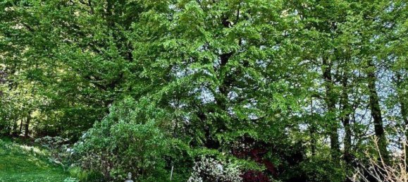 Casa de 8 habitaciónes en Velden am Worther See, Austria No. 217857 4