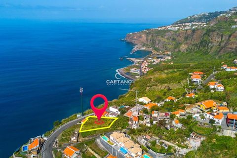 Grundstück in Ribeira Brava, Portugal, Nr. 150981