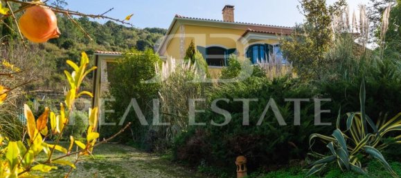 6 غرف نوم منزل في Sobral de Monte Agraco, Portugal رقم 121995 43