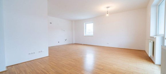 4 rooms Apartment in Loich, Austria No. 187749 3