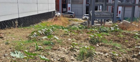 Land in Marbella, Spain No. 191087 9