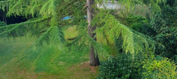 5 غرف نوم تاون هاوس في Gutersloh, Germany رقم 272690 8