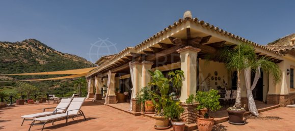 Вилла с 4 спальнями в Малага, Испания № 105446 31