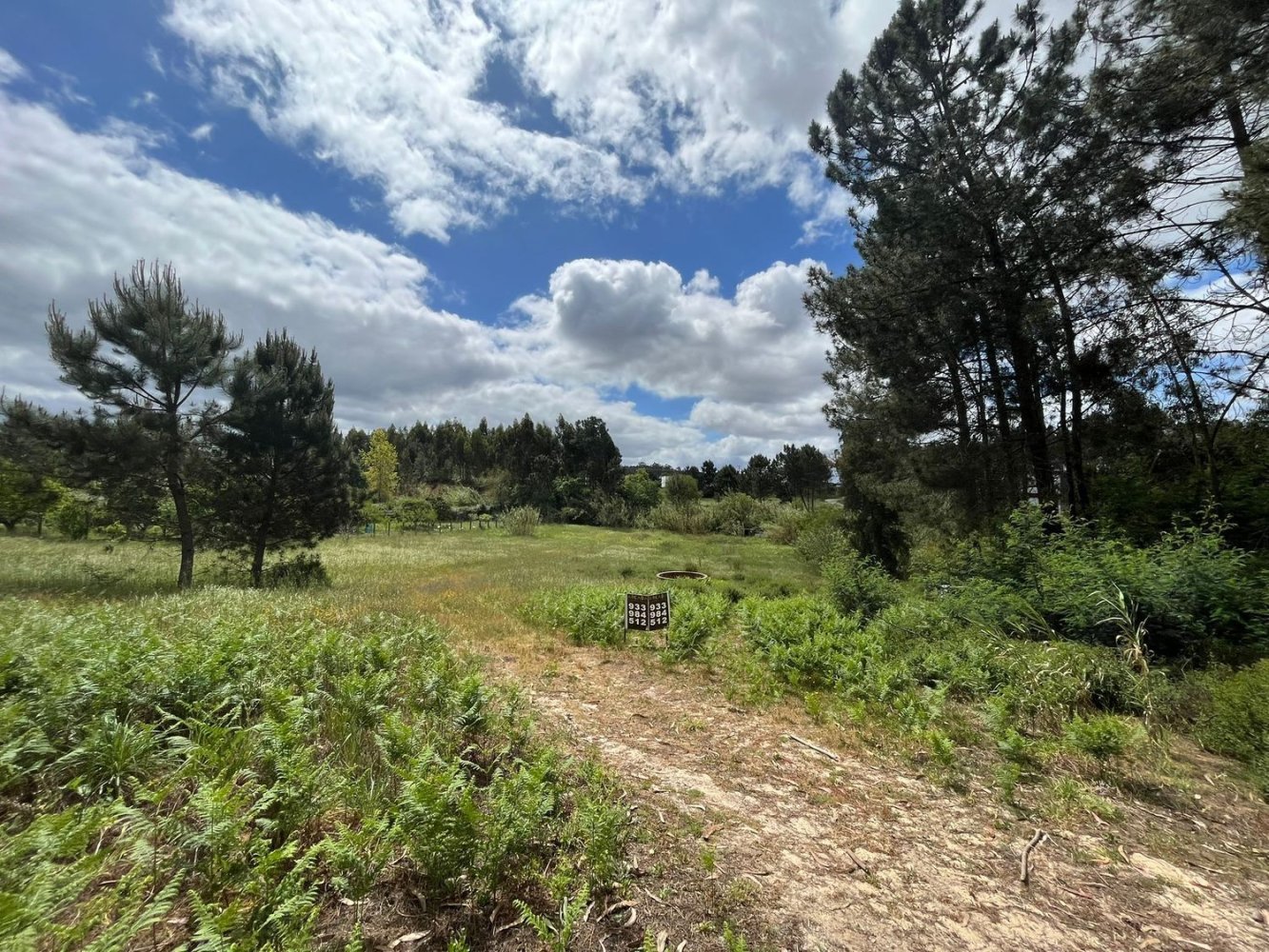 Grundstück in Leiria, Portugal 2197m², Nr. 89479