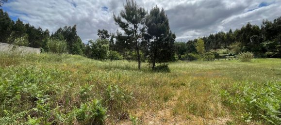 Grundstück in Leiria, Portugal 2197m², Nr. 89479 8