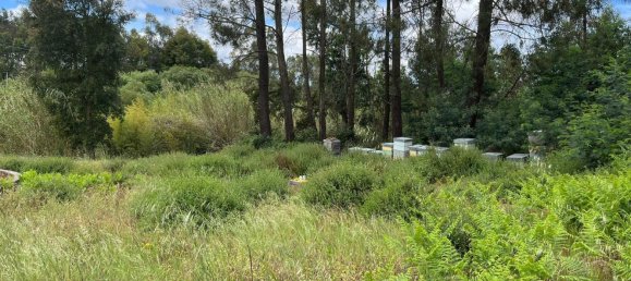 Grundstück in Leiria, Portugal 2197m², Nr. 89479 10