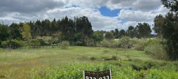 Grundstück in Leiria, Portugal 2197m², Nr. 89479 3
