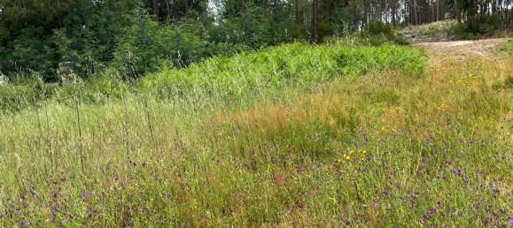 Grundstück in Leiria, Portugal 2197m², Nr. 89479 7