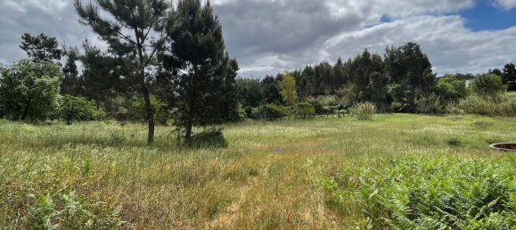 Grundstück in Leiria, Portugal 2197m², Nr. 89479 9