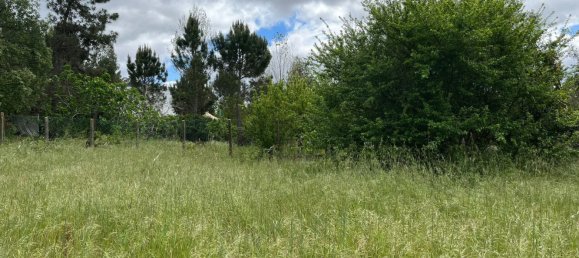 Grundstück in Leiria, Portugal 2197m², Nr. 89479 15