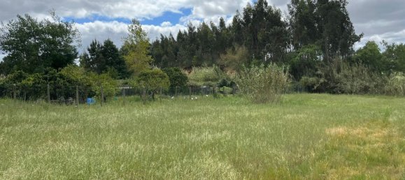 Grundstück in Leiria, Portugal 2197m², Nr. 89479 11